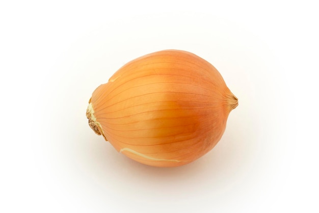 Fresh onion bulb isolated on white