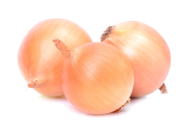 Fresh onion