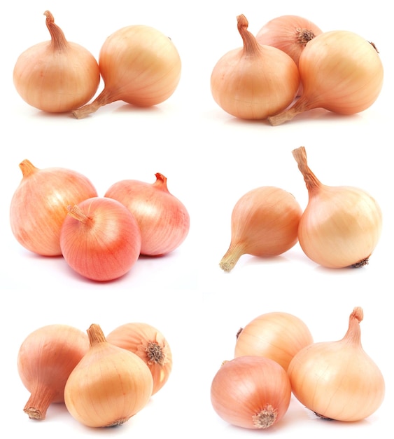 Fresh onion