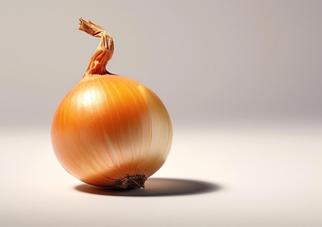 Photo fresh onion