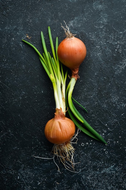 Fresh onions on a black stone background Green onion