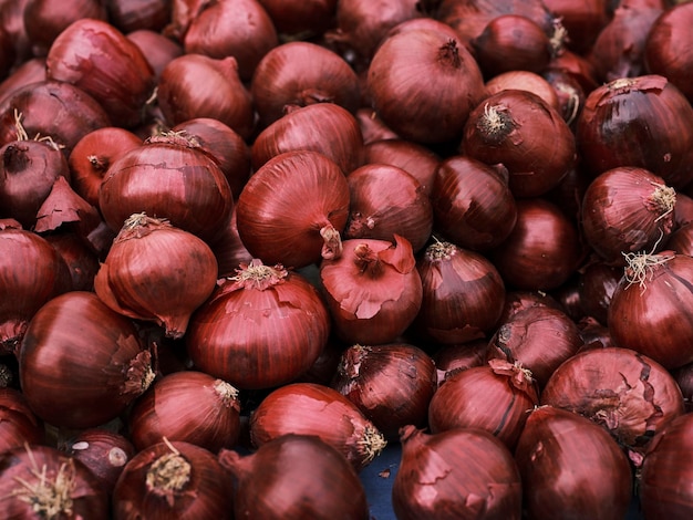 Fresh onions in the market