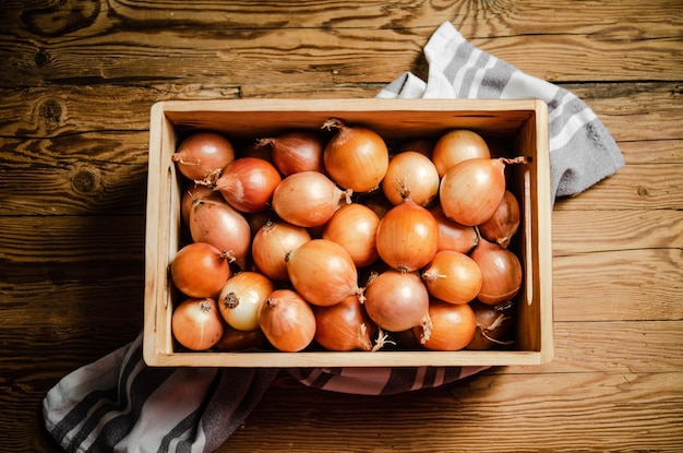 Fresh onions on rustic background