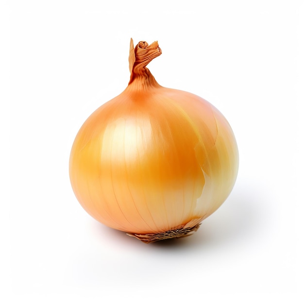 fresh onions on white background