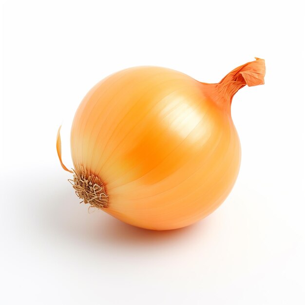 fresh onions on white background