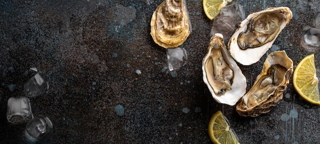 Fresh open oysters top view with lemon wedges and ice copy space