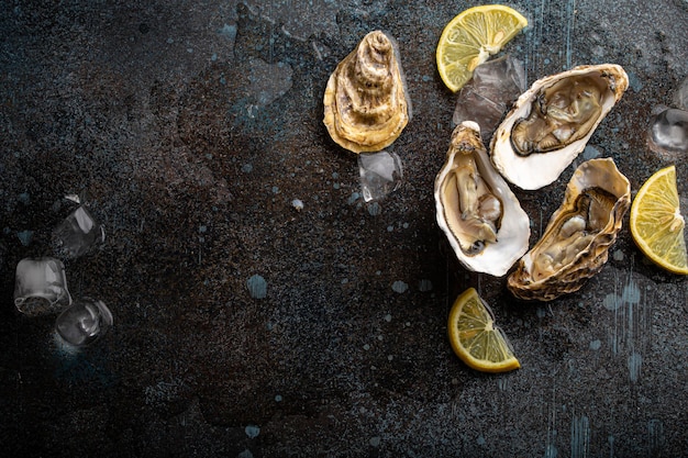 Fresh open oysters top view with lemon wedges and ice copy space