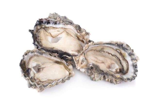 Fresh opened oyster isolated on white surface