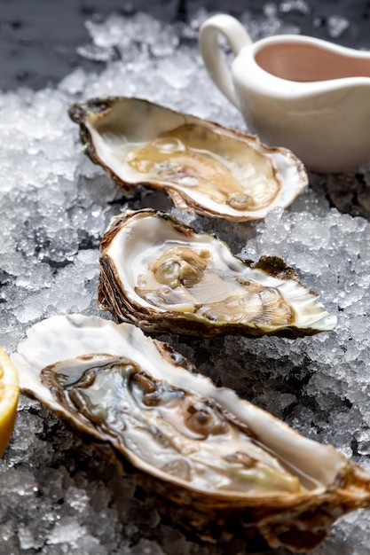 Fresh opened oysters laid out on ice on a dark background