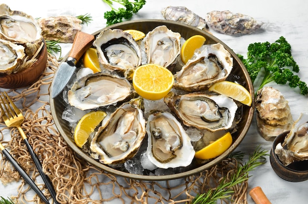 Fresh opened oysters in a plate with ice and lemon free space\
for your text seafood flat lay