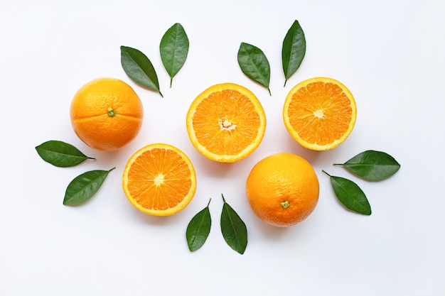 新鮮なオレンジの柑橘類の果物を分離。