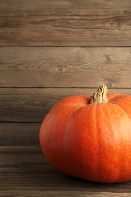 Fresh orange pumpkin on grey background. Autumn composition. Vertical photo