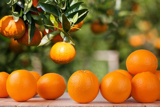 Свежий апельсин на деревянном столе в саду