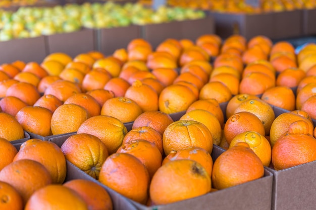 Fresh oranges in boxes on a local market