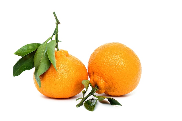 The fresh oranges isolated on a white background Healthy food Front view