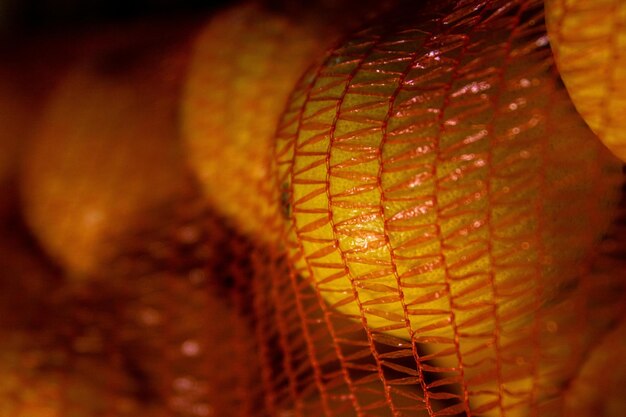 fresh oranges