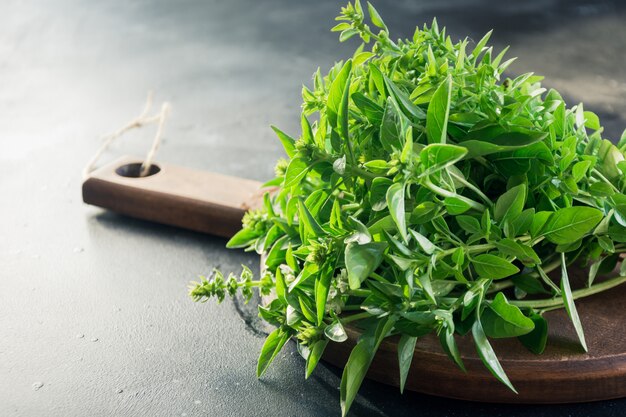 Fresh oregano in bunch on black