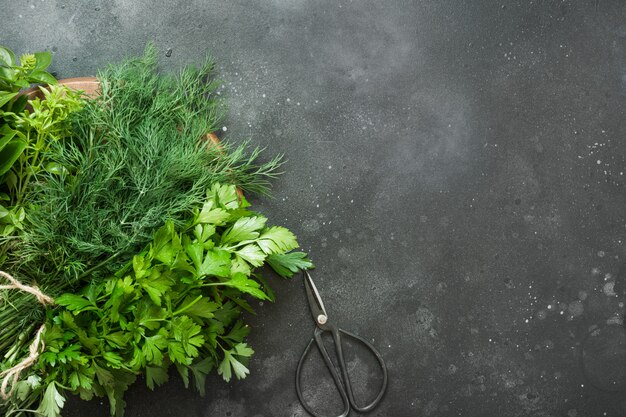 Fresh oregano in bunch on black 