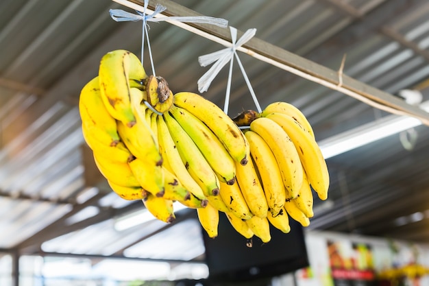 Fresh organic Banana