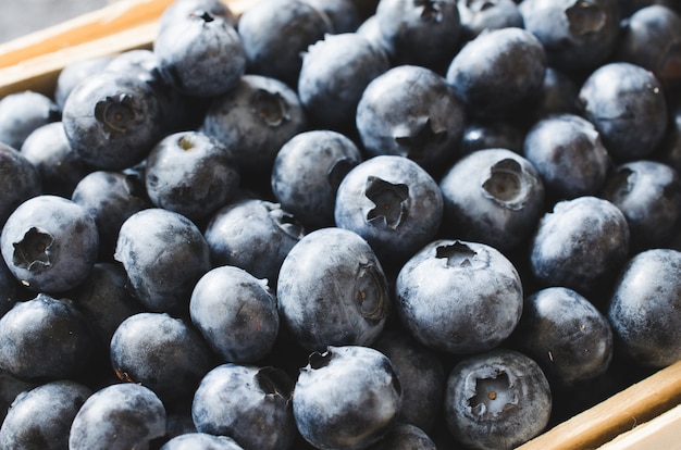 Fresh organic blueberries in basket