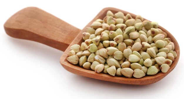 Fresh organic buckwheat in a wooden spoon over white background