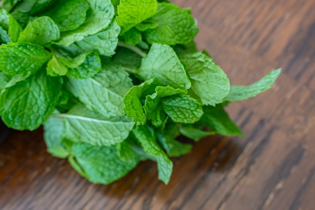 Foto fusti freschi di foglie di menta biologica