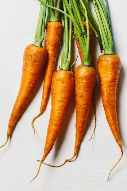 Fresh organic carrots on white