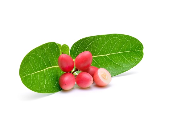 Photo fresh organic carunda or karonda fruits with green leaves isolated on white background