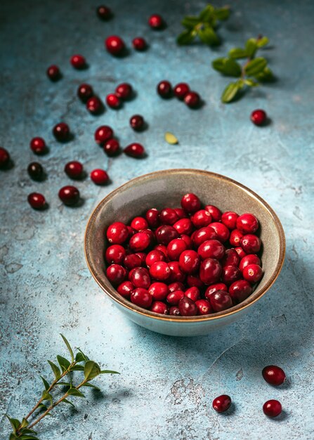 fresh organic cranberries in a ceramic bowl on rustic stone background 