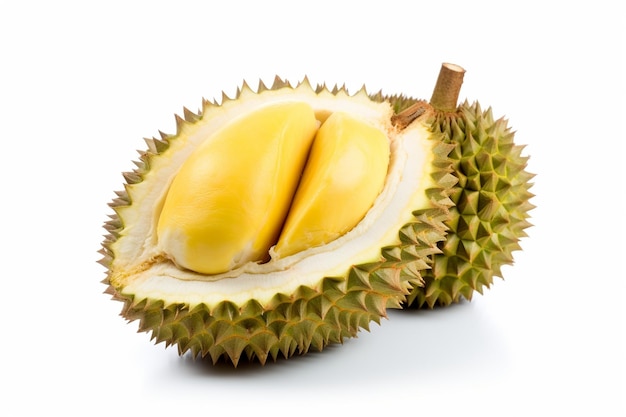 Fresh organic durian the most popular king of fruits in thailand isolated on white background