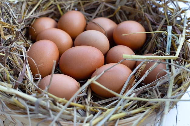 Photo fresh organic eggs in a straw nest