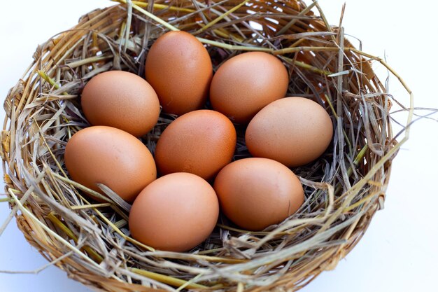 Fresh organic eggs in a straw nest