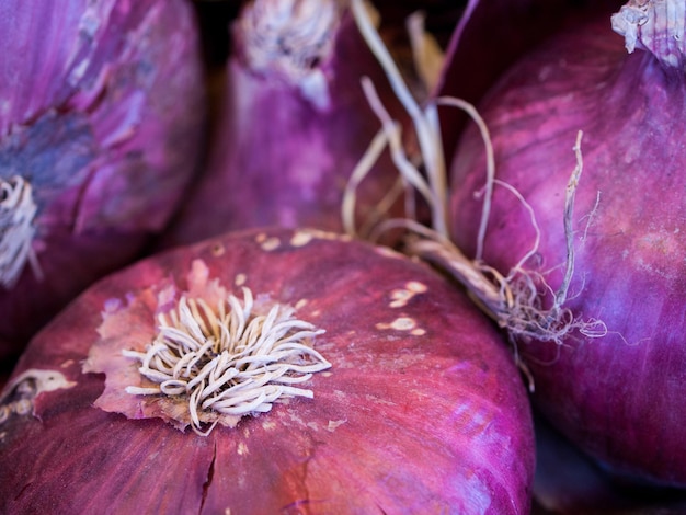 Alimenti biologici freschi al mercato degli agricoltori locali. i mercati degli agricoltori sono un modo tradizionale di vendere prodotti agricoli.