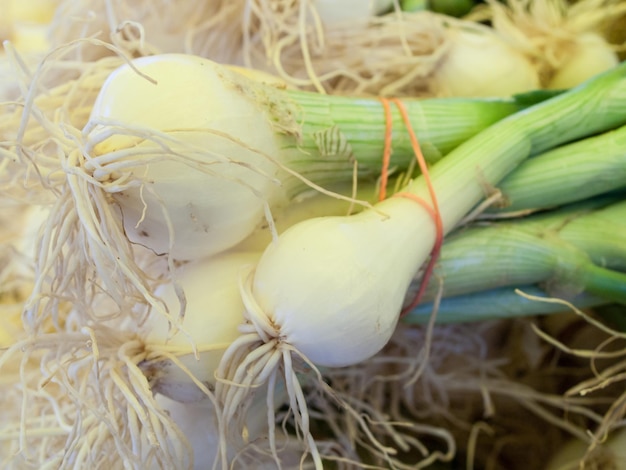 Fresh organic food at the local farmers market. Farmers markets are a traditional way of selling agricultural products.