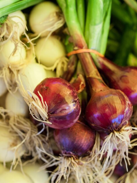 Fresh organic food at the local farmers market. Farmers markets are a traditional way of selling agricultural products.