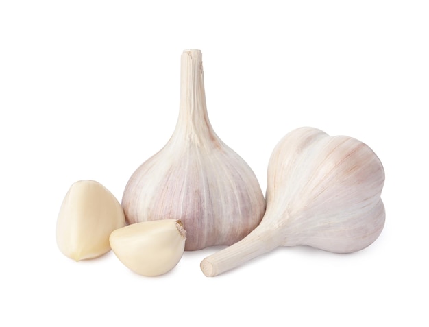 fresh organic garlic bulbs and cloves on white background