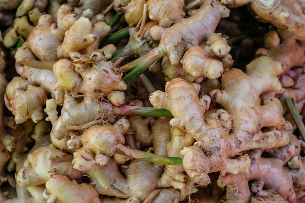 Fresh organic ginger display for sell at the market.