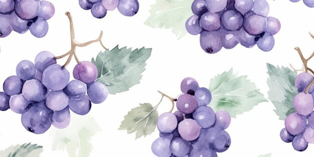 Fresh organic grape fruit horizontal watercolor illustration