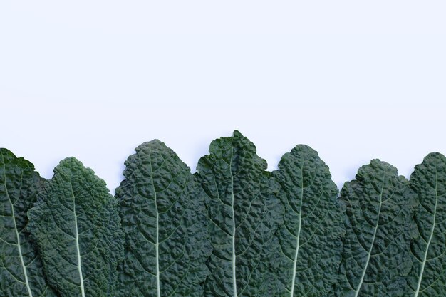 Fresh organic green kale leaves on white.