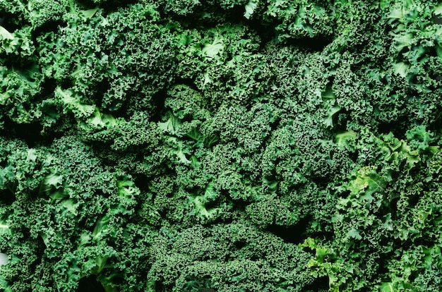 Fresh organic green kale, selective focus, top view, copy space. Green texture