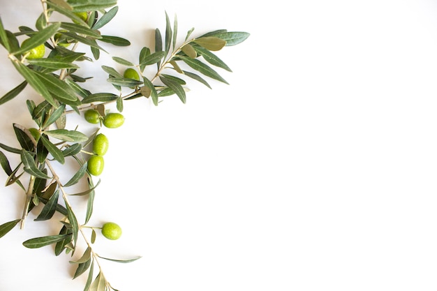 Свежие органические зеленые оливки на белой тарелке