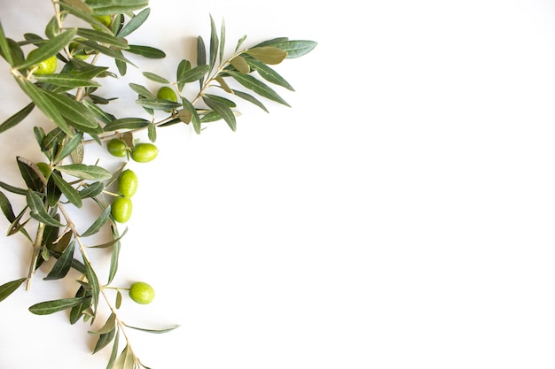 Fresh organic green olives on the white plate