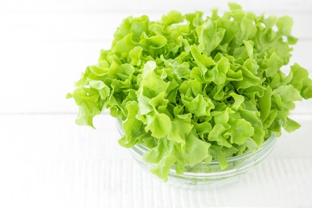 Fresh organic healthy green oak lettuce vegetable in a glass bowl 