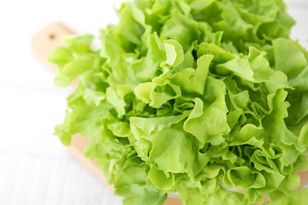 Свежий органический здоровый зеленый салат овоща дуба