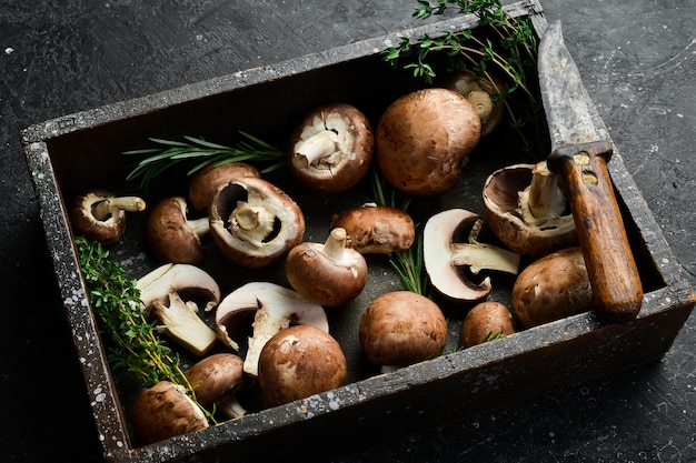 Fresh organic king champignons on a stone table Top view