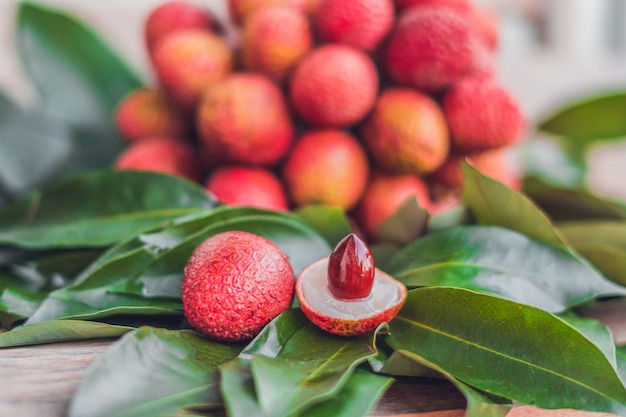 Fresh organic lychee fruit and lychee leaves