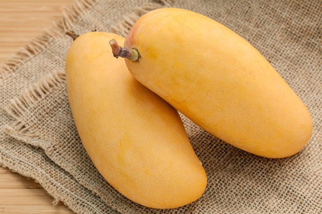 Fresh organic mangoes set up on hemp sack background.