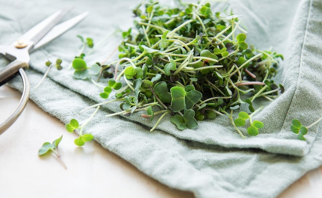 Свежий органический микрозелень на столе