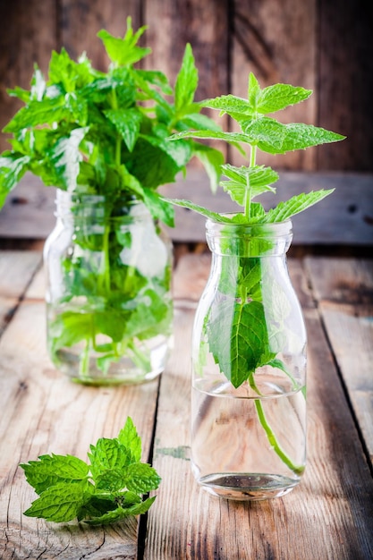 Fresh organic mint in glass on a wooden background