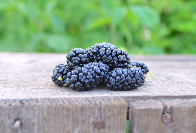 Fresh organic mulberry 